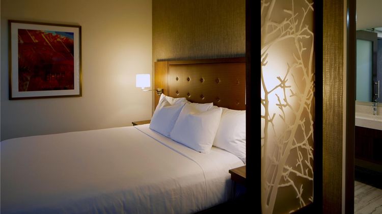 Hyatt Place Las Vegas Silverton Village Room