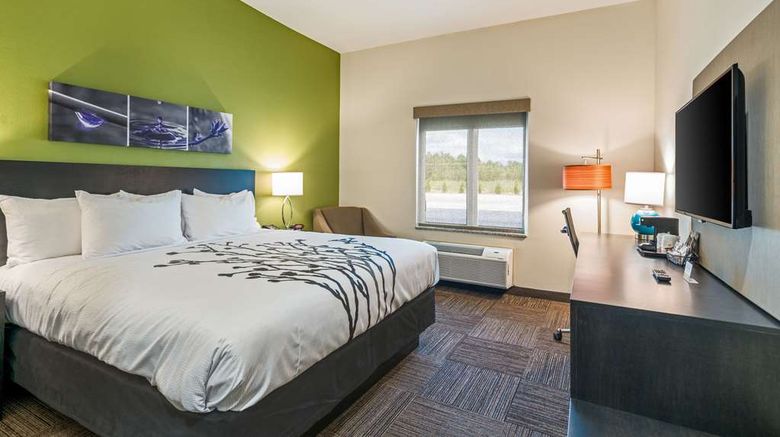 <b>Sleep Inn Baxley Room</b>. Images powered by <a href="https://iceportal.shijigroup.com/" title="IcePortal" target="_blank">IcePortal</a>.