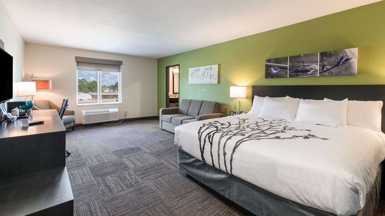 <b>Sleep Inn Baxley Suite</b>. Images powered by <a href="https://iceportal.shijigroup.com/" title="IcePortal" target="_blank">IcePortal</a>.