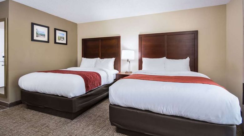 <b>Comfort Inn Kings Mountain Room</b>. Images powered by <a href="https://iceportal.shijigroup.com/" title="IcePortal" target="_blank">IcePortal</a>.