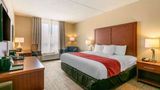 Comfort Inn & Suites Cool Springs Room