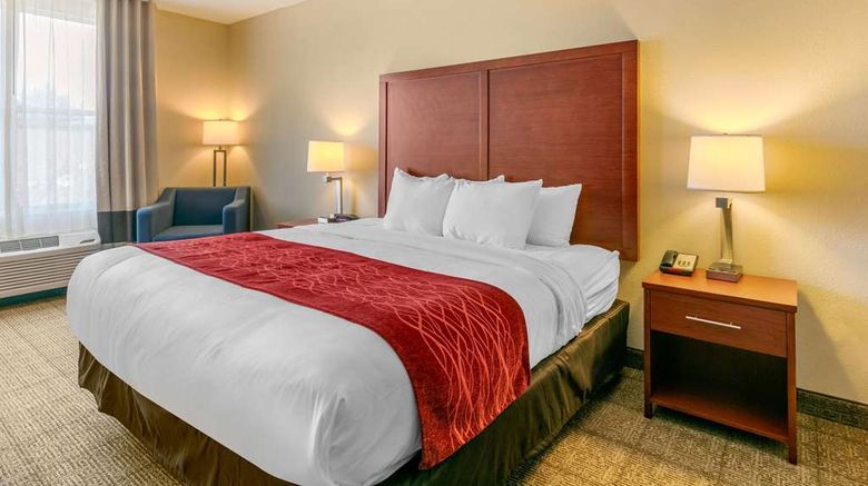 <b>Comfort Inn & Suites Cool Springs Room</b>. Images powered by <a href="https://iceportal.shijigroup.com/" title="IcePortal" target="_blank">IcePortal</a>.