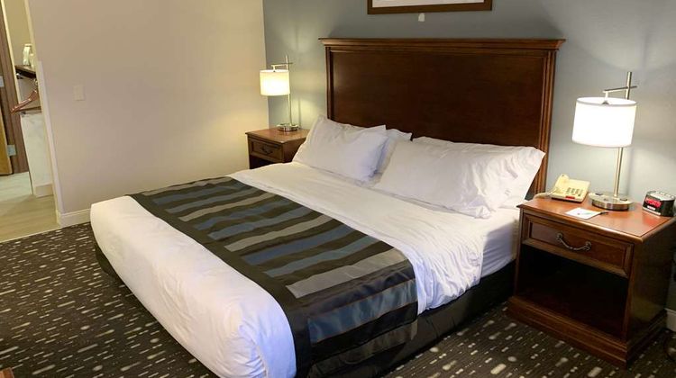 Wingate by Wyndham Brighton Room