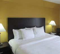 Quality Inn & Suites Room