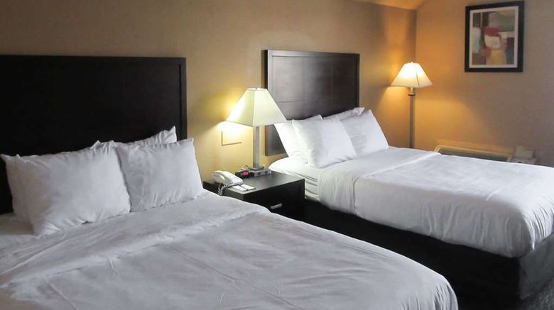 <b>Quality Inn & Suites Room</b>. Images powered by <a href="https://iceportal.shijigroup.com/" title="IcePortal" target="_blank">IcePortal</a>.