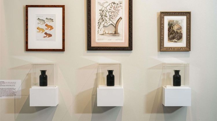 21C Museum Hotel Bentonville Other