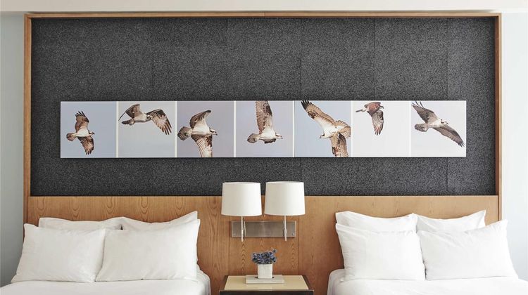 21c Museum Hotel Louisville Room