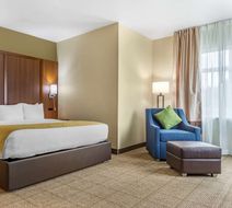 Comfort Inn & Suites Room