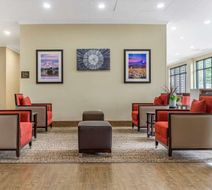 Comfort Inn & Suites Lobby