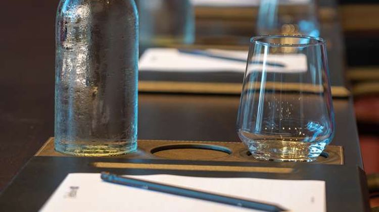 Radisson Blu Hotel & Conference Centre Meeting