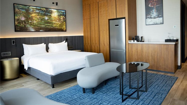 Radisson Blu Hotel & Conference Centre Suite