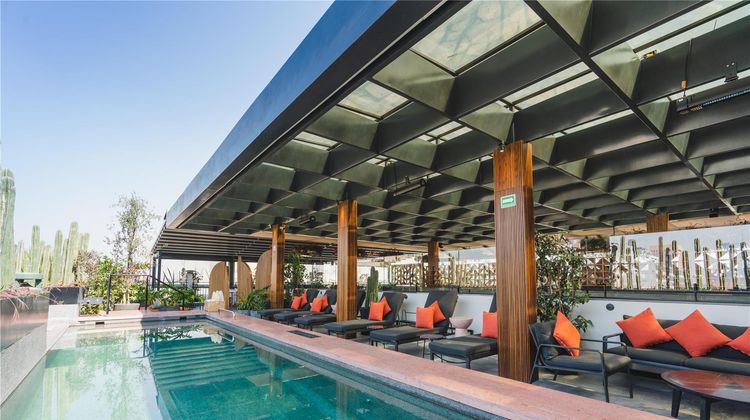 Umbral, Curio Collection by Hilton Pool