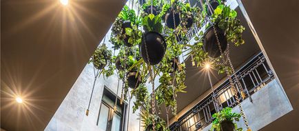 Umbral, Curio Collection by Hilton Exterior