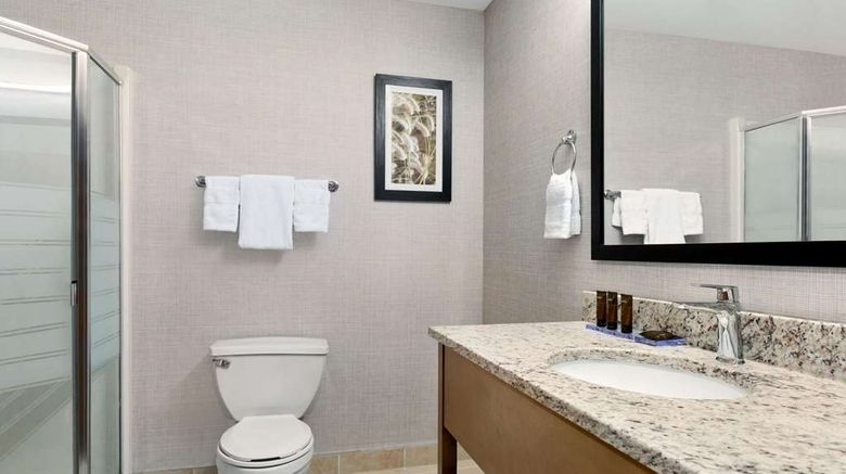 <b>Wingate by Wyndham Lethbridge Room</b>. Images powered by <a href="https://iceportal.shijigroup.com/" title="IcePortal" target="_blank">IcePortal</a>.