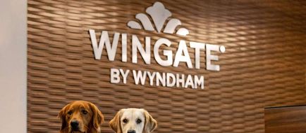 Wingate by Wyndham Lethbridge Lobby