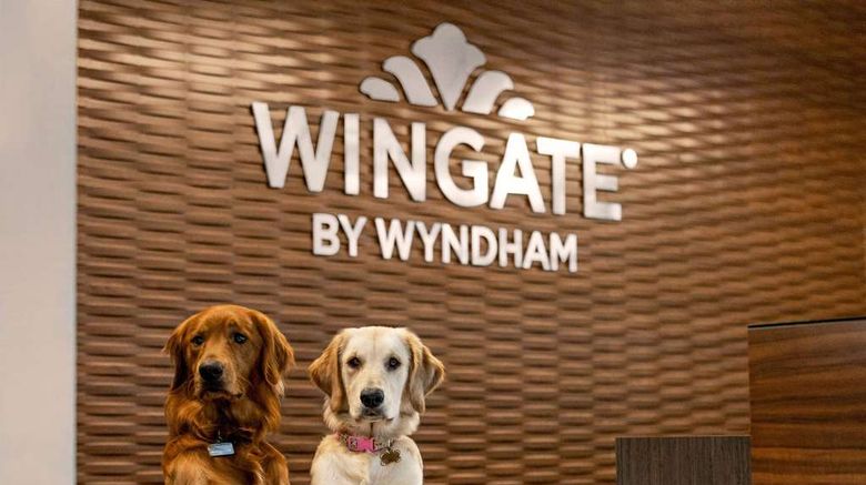 <b>Wingate by Wyndham Lethbridge Lobby</b>. Images powered by <a href="https://iceportal.shijigroup.com/" title="IcePortal" target="_blank">IcePortal</a>.