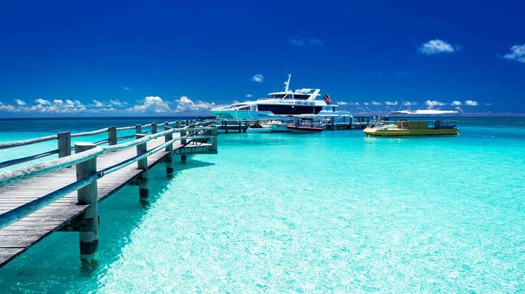Heron Island Resort Pool