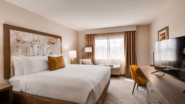 <b>Aiden by Best Western @ Scottsdale North Room</b>. Images powered by <a href="https://iceportal.shijigroup.com/" title="IcePortal" target="_blank">IcePortal</a>.