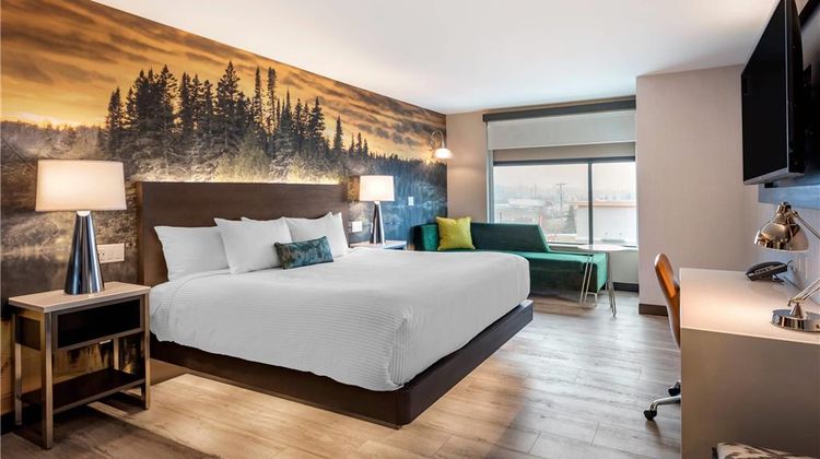Cambria Hotel Shelby Twp Detroit Room