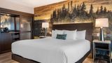 Cambria Hotel Shelby Twp Detroit Room