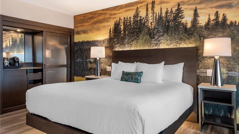 <b>Cambria Hotel Shelby Twp Detroit Room</b>. Images powered by <a href="https://iceportal.shijigroup.com/" title="IcePortal" target="_blank">IcePortal</a>.