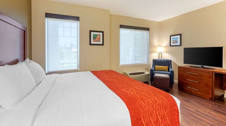 <b>Comfort Inn & Suites Ontario Room</b>. Images powered by <a href="https://iceportal.shijigroup.com/" title="IcePortal" target="_blank">IcePortal</a>.