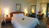 Hotel Buena Vista Room