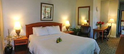 Hotel Buena Vista Room
