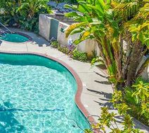 Hotel Buena Vista Pool
