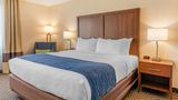 <b>Comfort Inn & Suites Lincoln Room</b>. Images powered by <a href="https://iceportal.shijigroup.com/" title="IcePortal" target="_blank">IcePortal</a>.