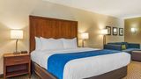<b>Comfort Inn & Suites Lincoln Suite</b>. Images powered by <a href="https://iceportal.shijigroup.com/" title="IcePortal" target="_blank">IcePortal</a>.