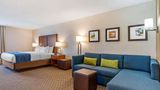 <b>Comfort Inn & Suites Lincoln Suite</b>. Images powered by <a href="https://iceportal.shijigroup.com/" title="IcePortal" target="_blank">IcePortal</a>.