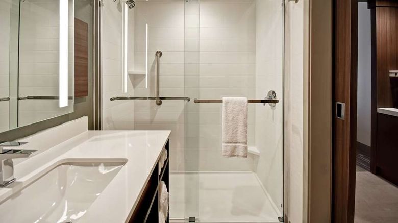 <b>Hilton Garden Inn Lansing West Room</b>. Images powered by <a href="https://iceportal.shijigroup.com/" title="IcePortal" target="_blank">IcePortal</a>.