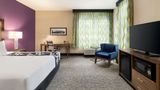 La Quinta Inn & Suites by Wyndham Room