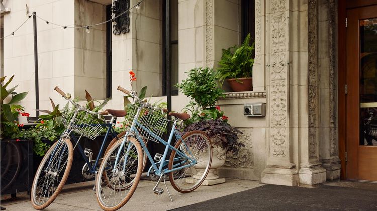 Chicago Athletic Association Hotel Recreation