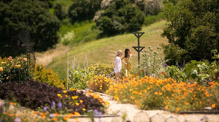 Carmel Valley Ranch Other