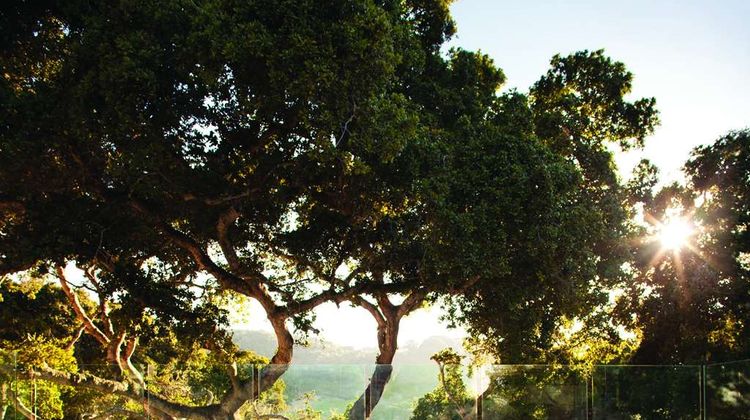 Carmel Valley Ranch Pool
