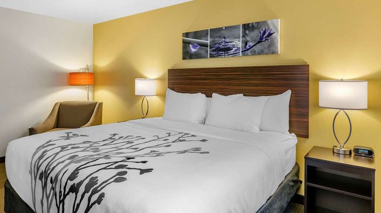 <b>Sleep Inn & Suites Great Falls Airport Room</b>. Images powered by <a href="https://iceportal.shijigroup.com/" title="IcePortal" target="_blank">IcePortal</a>.