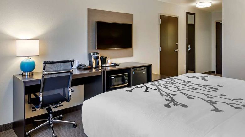 <b>Sleep Inn & Suites Great Falls Airport Room</b>. Images powered by <a href="https://iceportal.shijigroup.com/" title="IcePortal" target="_blank">IcePortal</a>.