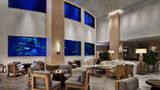 <b>'Alohilani Resort Waikiki Beach Other</b>. Images powered by <a href="https://iceportal.shijigroup.com/" title="IcePortal" target="_blank">IcePortal</a>.