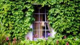 <b>Barberstown Castle Exterior</b>. Images powered by <a href="https://iceportal.shijigroup.com/" title="IcePortal" target="_blank">IcePortal</a>.