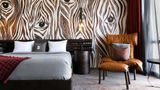 <b>The Nash Suite</b>. Images powered by <a href="https://iceportal.shijigroup.com/" title="IcePortal" target="_blank">IcePortal</a>.