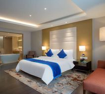Feathers - A Radha Hotel Room