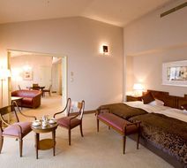Hakuba Tokyu Hotel Room