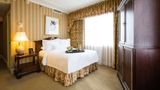 <b>Hotel Monteleone Room</b>. Images powered by <a href="https://iceportal.shijigroup.com/" title="IcePortal" target="_blank">IcePortal</a>.