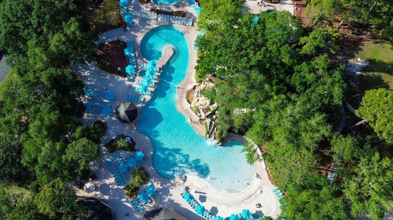 <b>Innisbrook, Salamander Golf & Spa Resort Pool</b>. Images powered by <a href="https://iceportal.shijigroup.com/" title="IcePortal" target="_blank">IcePortal</a>.