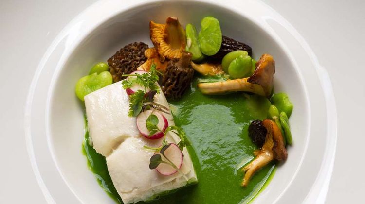 SOPHY Hyde Park Restaurant