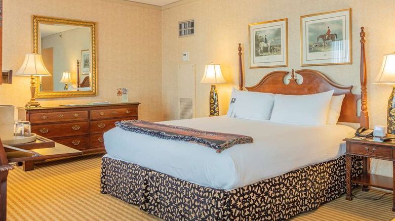 <b>The Brown  Hotel Room</b>. Images powered by <a href="https://iceportal.shijigroup.com/" title="IcePortal" target="_blank">IcePortal</a>.