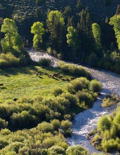 The Lodge & Spa at Brush Creek Ranch