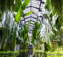 The Siam Lobby